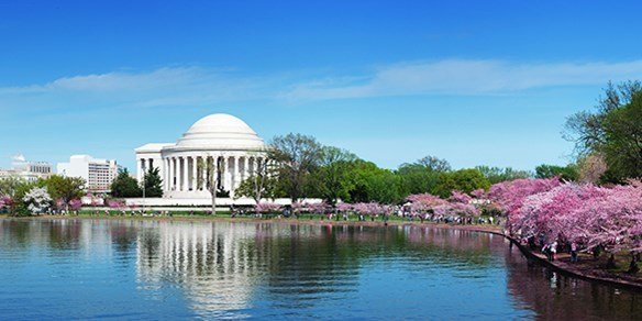 عروض اللحظة الأخيرة إلى واشنطن العاصمة