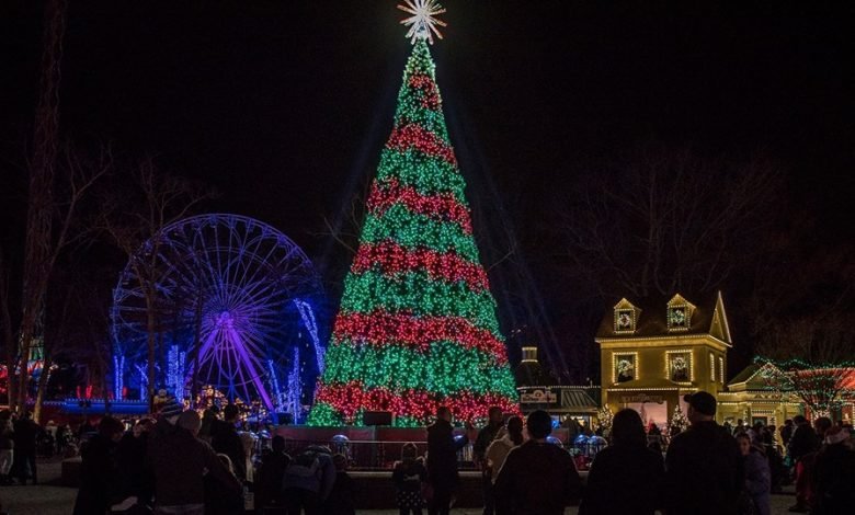 35 دولارًا وما فوق – عطلة في الحديقة في Six Flags Over Texas 35 دولارًا وما فوق – عطلة في الحديقة في Six Flags Over Texas