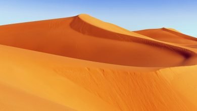 1499 دولارًا – جولة إرشادية في المغرب لمدة 9 ليالٍ مع رحلات الطيران