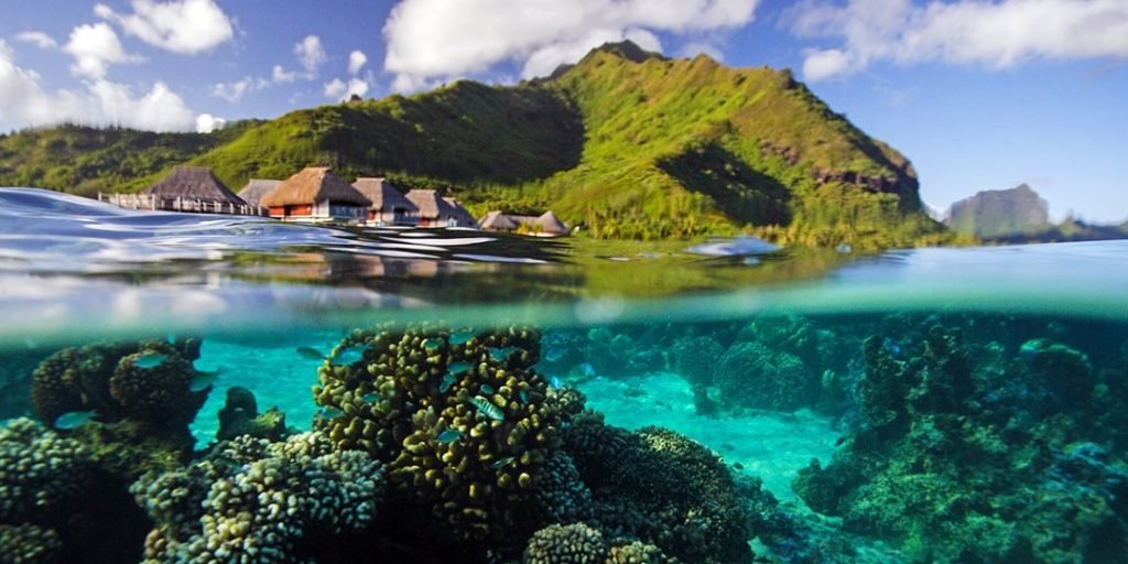 $ 1020* – Chicago to Tahiti Roundtrip ، Reg. 1260 دولار $ 1020* – Chicago to Tahiti Roundtrip ، Reg. 1260 دولار