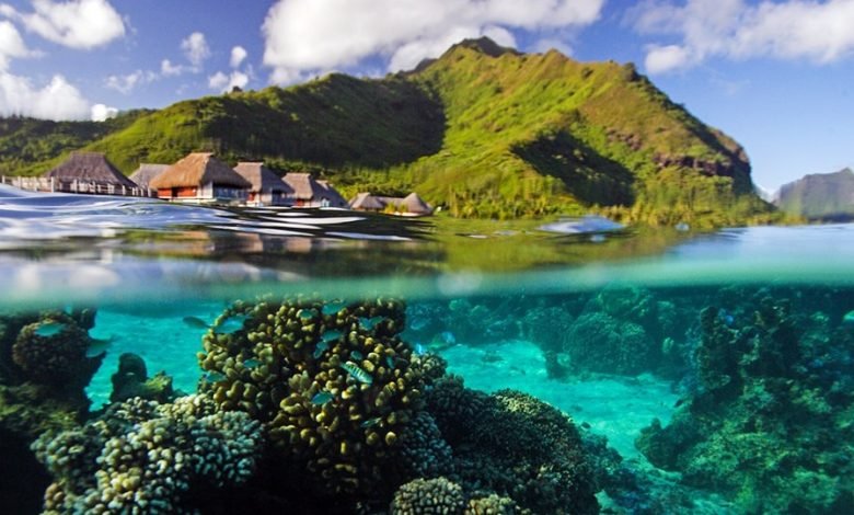 $ 1020* – Chicago to Tahiti Roundtrip ، Reg. 1260 دولار $ 1020* – Chicago to Tahiti Roundtrip ، Reg. 1260 دولار