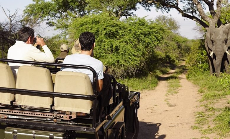 صفقات عطلة المغامرة | Travelzoo صفقات عطلة المغامرة | Travelzoo