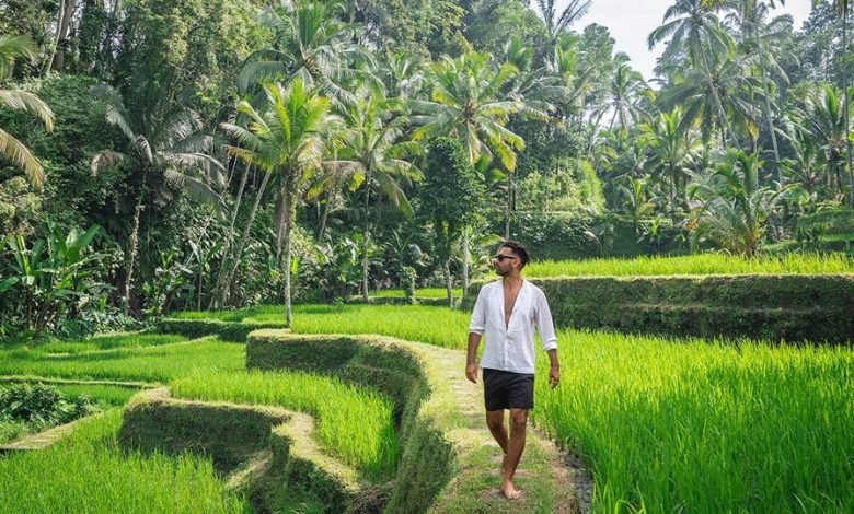 599 دولارًا – الخلاصة “Glamping” في حقول الأرز في Ubud ، حتى 56 ٪ خصم