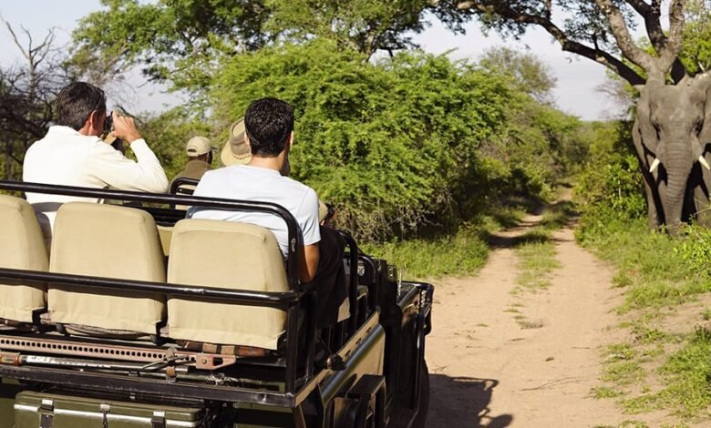 صفقات عطلة المغامرة | Travelzoo صفقات عطلة المغامرة | Travelzoo