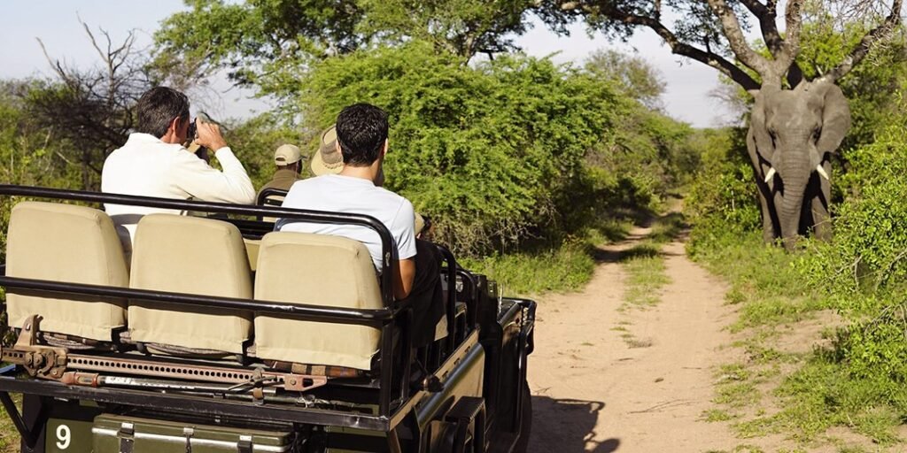 صفقات عطلة المغامرة | Travelzoo